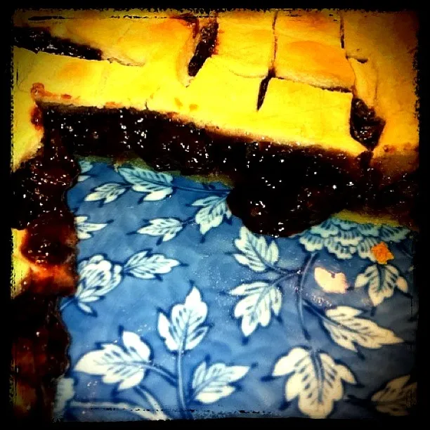 Carolina Mountain Blackberry Pie|CharlesTStewartさん