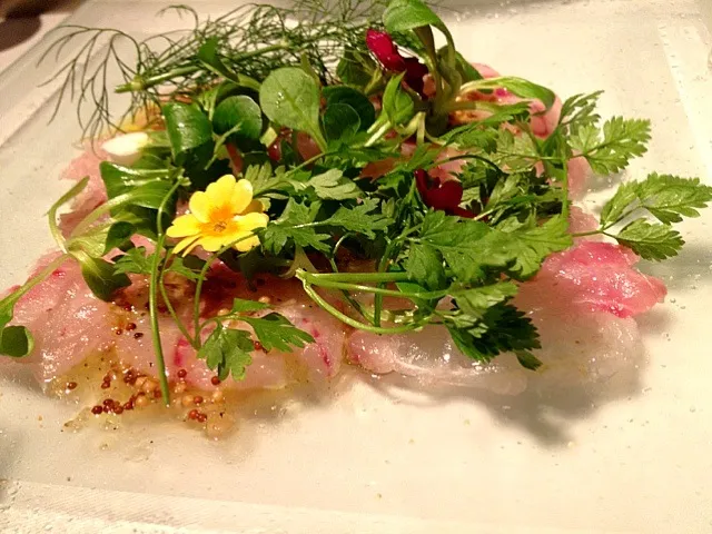 Nantoka Carpaccio|Chris Shannonさん