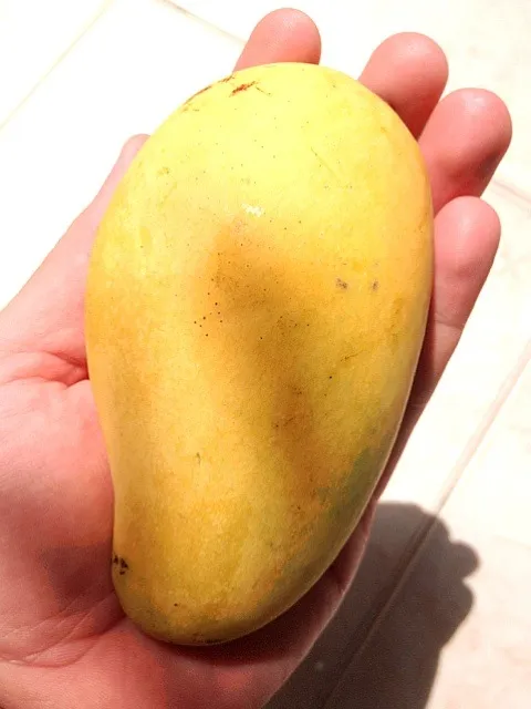 Snapdishの料理写真:mango|sanさん