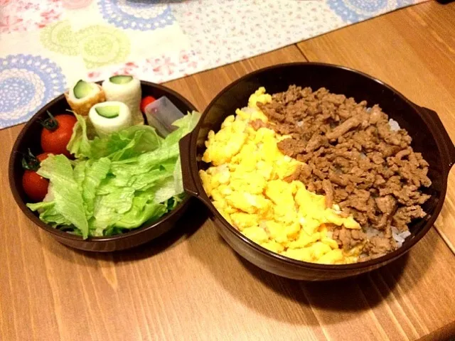 4月27日 そぼろ弁当|かもさん