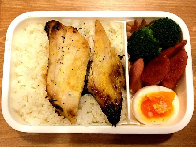 5月7日 魚弁当|かもさん