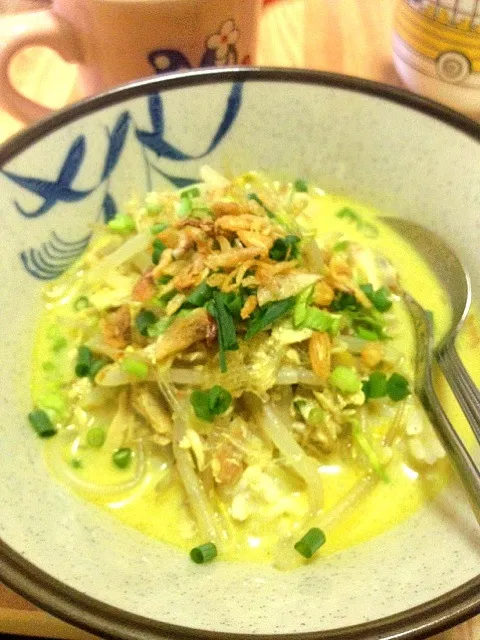 home made "Soto Medan"|nofalindaさん