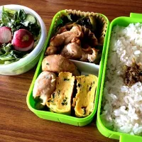 昼のお弁当、塩麹につけた鶏肉、山菜など|Gyoさん