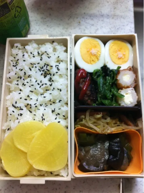 お弁当|あやびーさん