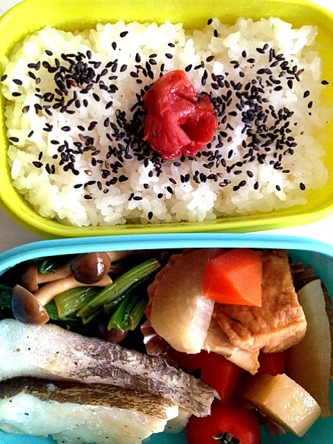 今日のお弁当|ドラたんさん