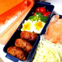 Snapdishの料理写真:ハンバーグハヤシ弁当。|miyo.さん