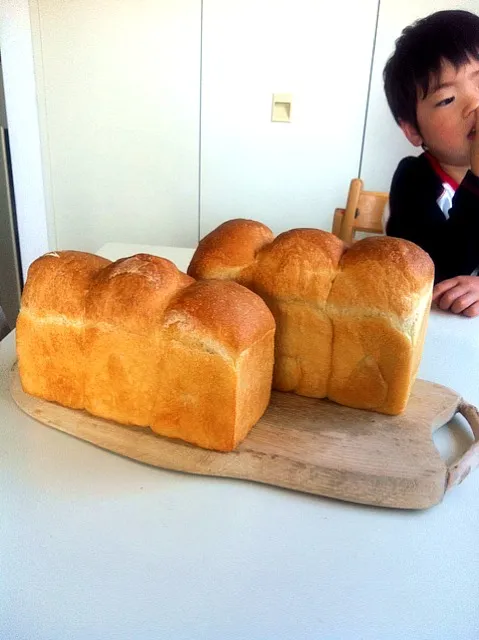 昨日焼いた山食を早く切ってと、長男ご立腹。しかしナイス山！見事なモコモコ具合。|ともこさん