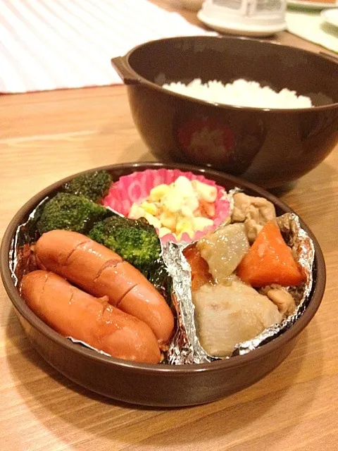 5月9日 鶏の煮物弁当|かもさん