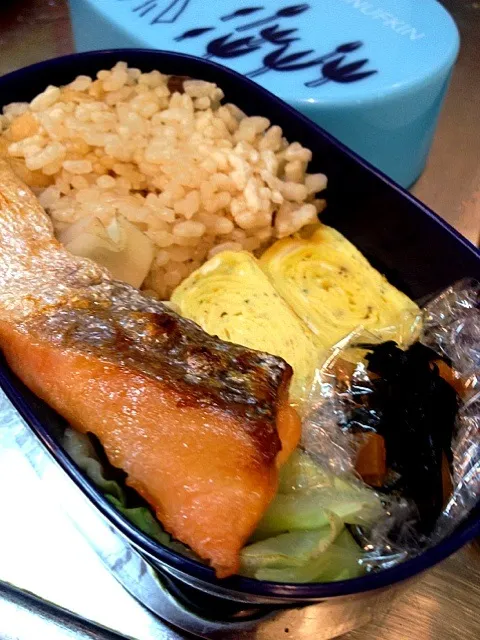 今日のお弁当は焼きシャケだよー|maechikaさん