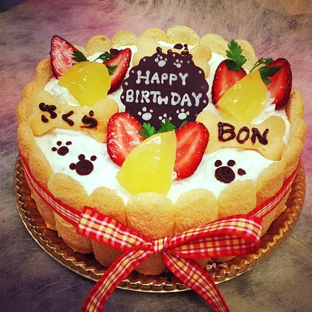 ☻DOG用デコレーションCAKE☻|Kiyomi 🎶さん