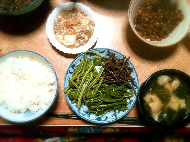 麻婆豆腐と、田舎からの山菜三種！|Ichimuraさん