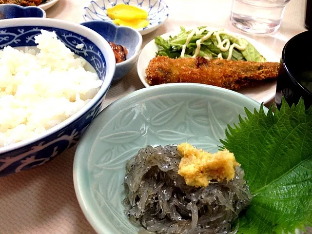 生しらす定食|あーちゃんさん