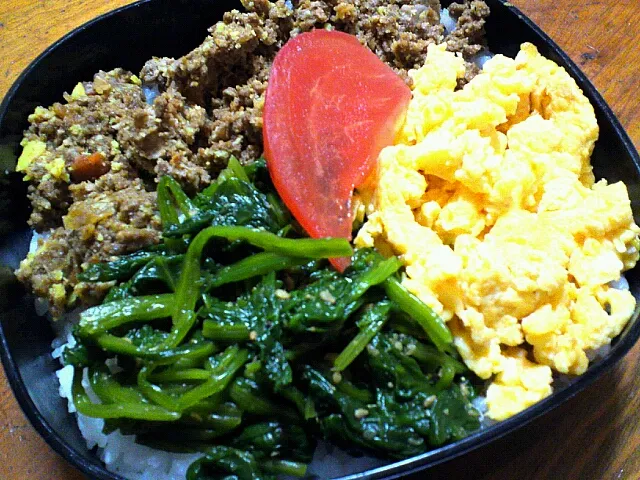 今日のお弁当 カレーそぼろ丼|maさん