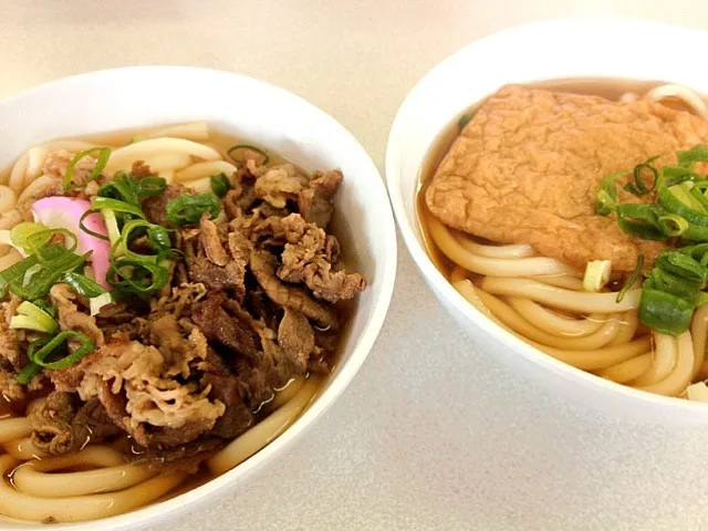 高校の食堂の肉うどんとキツネうどん|おおのさとみさん