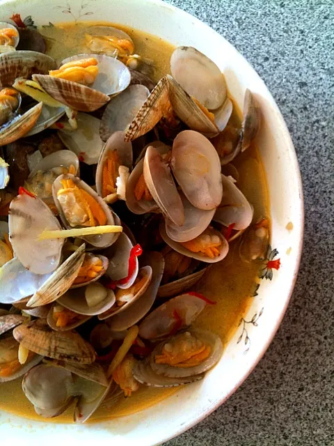 Stir Fry Fresh Clams|Shiroi Yukiさん