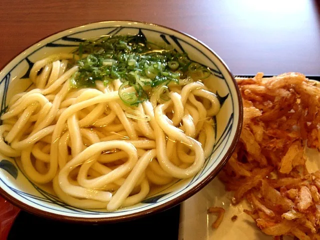 かけうどん大と小海老のかき揚げ #mgsm|kumakichi benisyaketeiさん