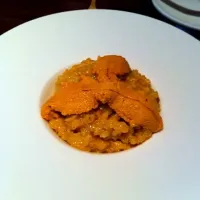 Uni Risotto|hardwi satrio pinandityoさん