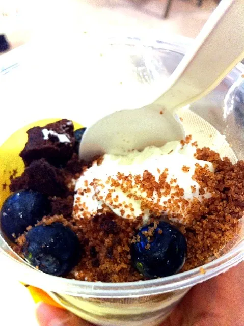 Crumbs Yogurt IceCream|samさん