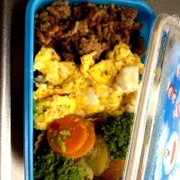 Snapdishの料理写真:今日のお弁当