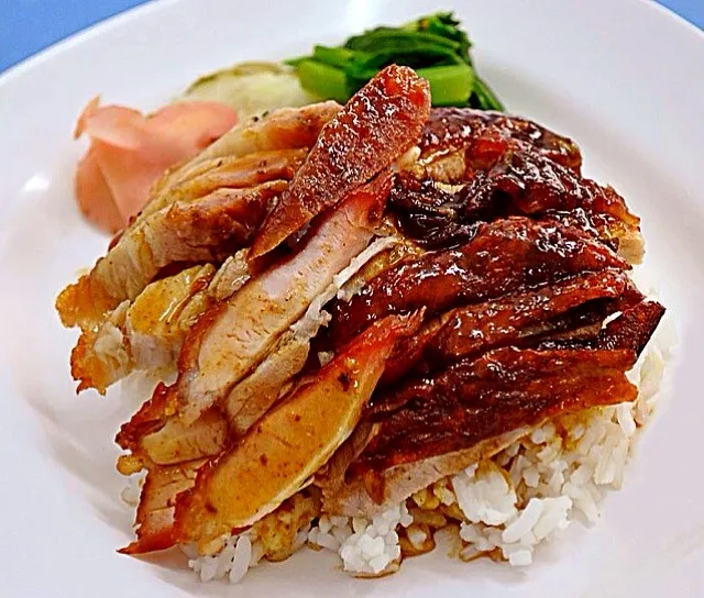 roast duck over rice|OoHさん