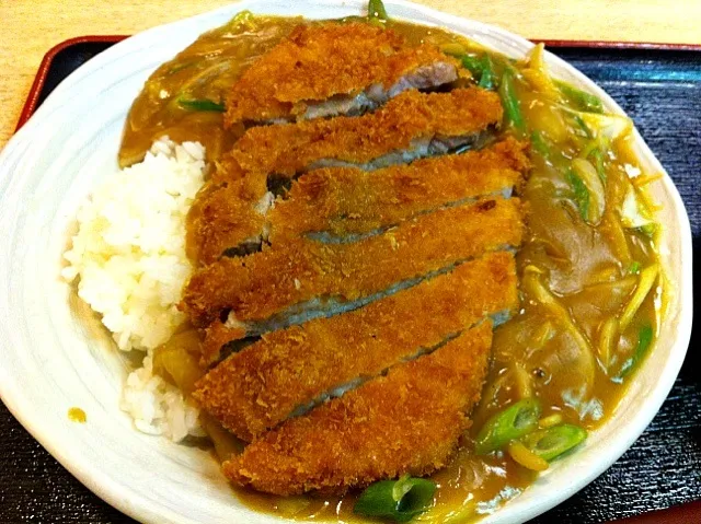 飲み物派に嬉しい和風カツカレーライス。ご飯少なくルゥ多い、具も多い！|たけうちさん