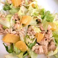 tuna salad with grapefruit|lanaさん