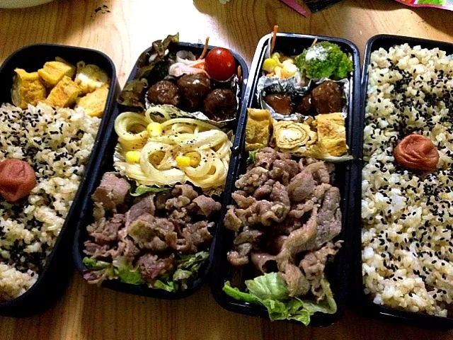 Snapdishの料理写真:パパ弁当|宮原礼智さん