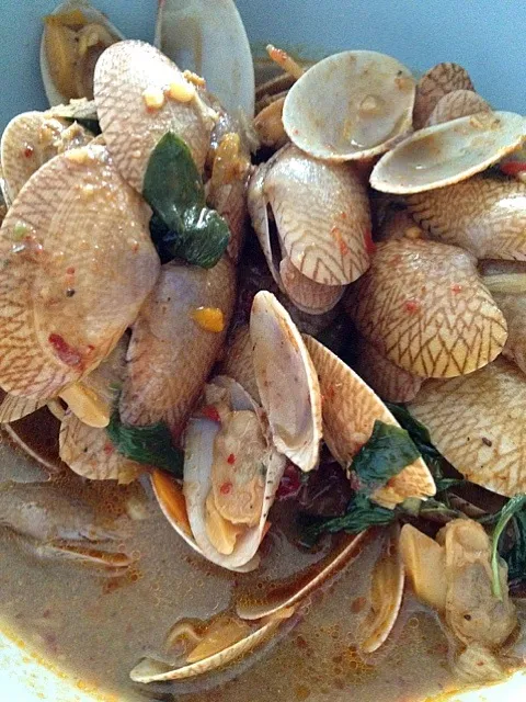 หอยลายผัดน้ำพริกเผา, hoi-lai-pad-nam-prik-prao (stir fried clams with roasted chili paste)|Tunaさん