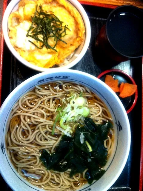 お蕎麦とササミ天丼|ともこさん