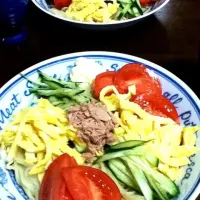 Snapdishの料理写真:冷やし中華はじめました|ぽてこさん