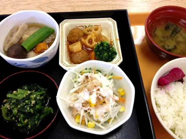 揚げ鶏と野菜の煮物他|すかラインさん