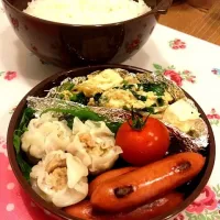 Snapdishの料理写真:5月17日 シュウマイ弁当|かもさん