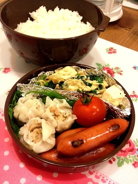 Snapdishの料理写真:5月17日 シュウマイ弁当|かもさん