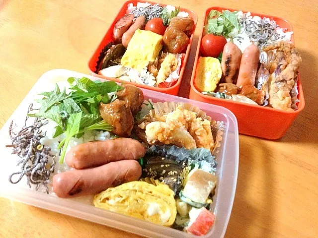 Snapdishの料理写真:今日の子供達弁当|りんさん