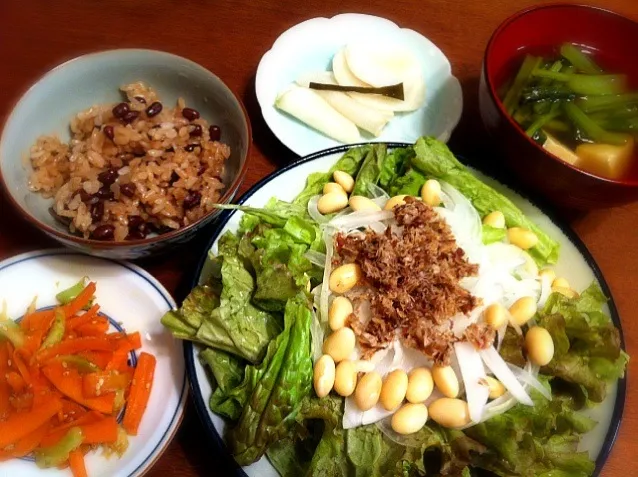 サラダ、蕪の漬物、蕪と高野豆腐煮、金平、赤飯|Ayayaさん