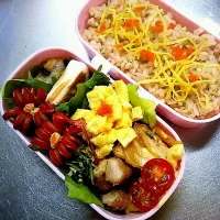 娘っちお一人様弁当(^^)ちらし寿司の巻き～(〃^ー^〃)