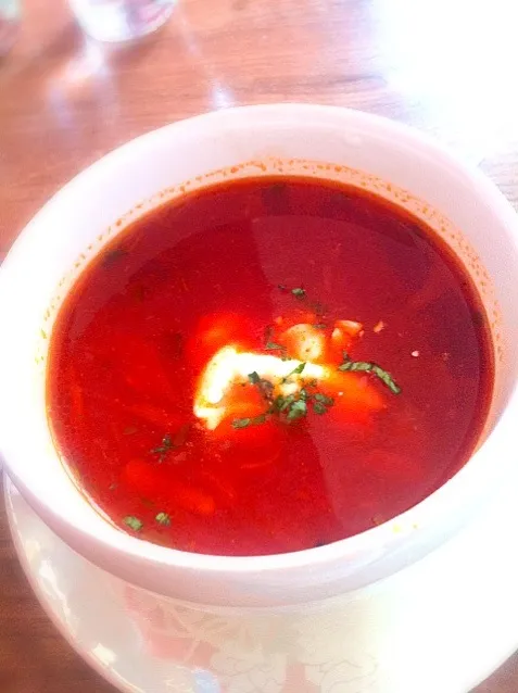 Russian Soup|sacoさん