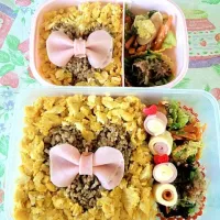 Snapdishの料理写真:ハートリボンそぼろ弁当