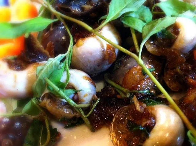 Garlic snails|Jeremy Khooさん