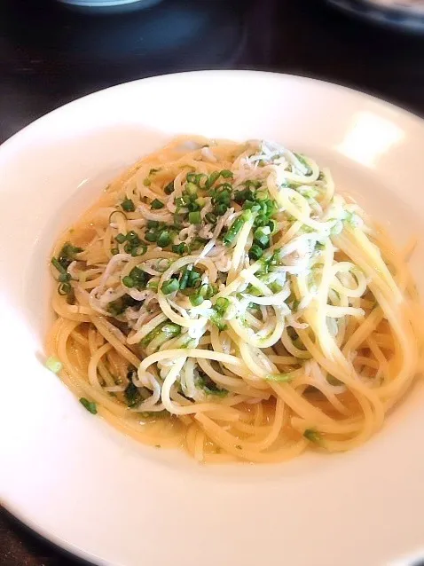 しらすと青のりパスタ、イタリアンピッコロ|志野さん