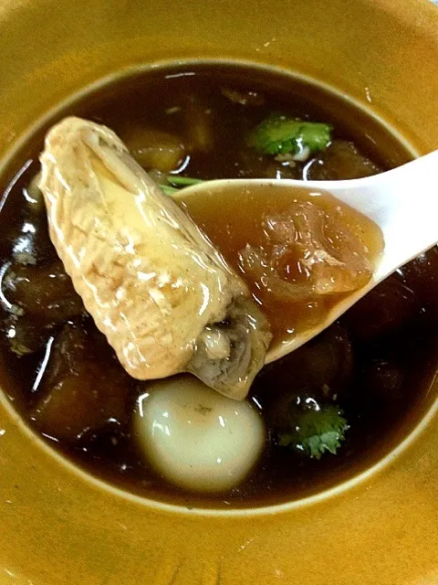 กระเพาะปลาน้ำแดง, kra-poa-pla-nam-daeng (chinese fish maw soup)|Tunaさん