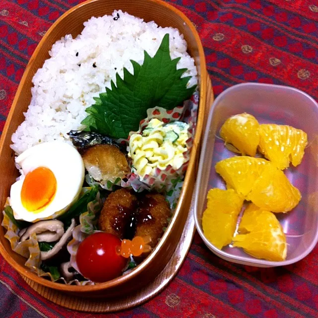 マカロニサラダ  ミンチカツ  小松菜椎茸中華炒  ゆで卵  塩鯖  トマト|かずさん