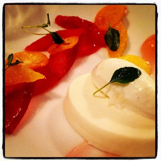 lemon panna cotta|SF Calicoさん