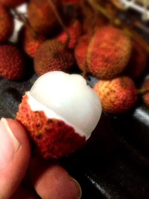 thai lychees|willzさん