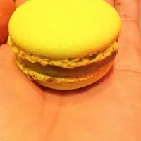 Macaroons|sasiさん