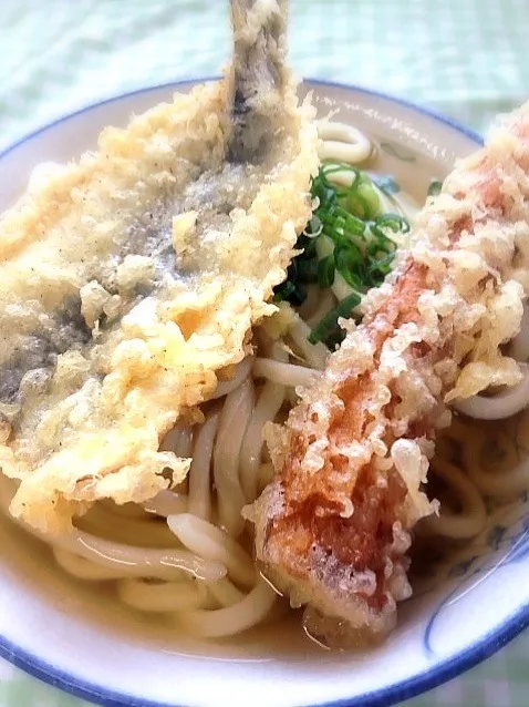 かけうどん＋イワシ、チクワ|ichikawaさん