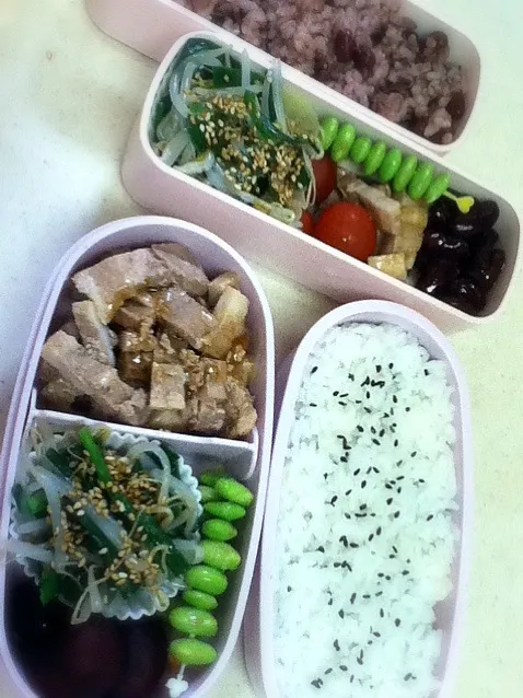 Snapdishの料理写真:今日のJK弁当＆OL弁当|hoppycowさん