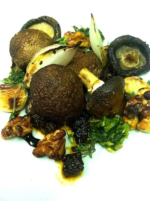 ROASTED WILD MUSHROOMS w/ CHIMICHURRI.SHALLOT.GARLIC. WALNUTS.AND MUSHROOM PUREE|GREG ARNOLDさん