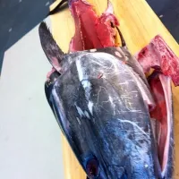 Snapdishの料理写真:マグロ解体後|erikoroさん