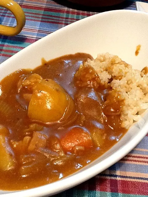 今日はポークカレー。ご飯は玄米です。|よっちゃん。さん